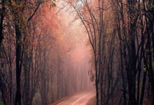 决战前夜：骑士队众将士的季后赛集结号