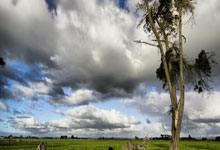 决战前夜：骑士队众将士的季后赛集结号